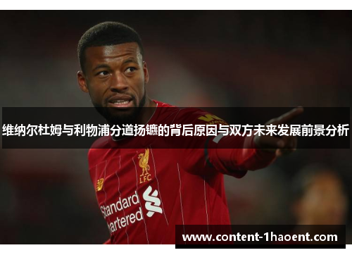 维纳尔杜姆与利物浦分道扬镳的背后原因与双方未来发展前景分析 维纳尔杜姆与利物浦分道扬镳的背后原因与双方未来发展前景分析
