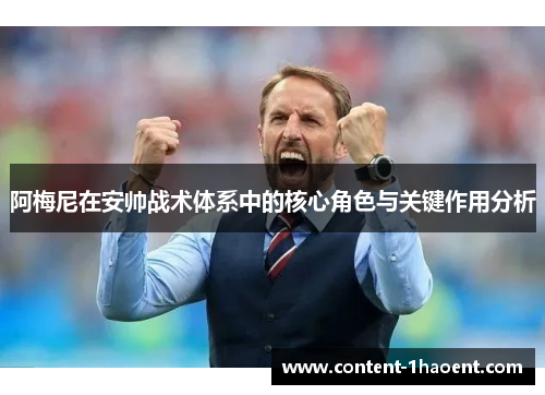 阿梅尼在安帅战术体系中的核心角色与关键作用分析 阿梅尼在安帅战术体系中的核心角色与关键作用分析